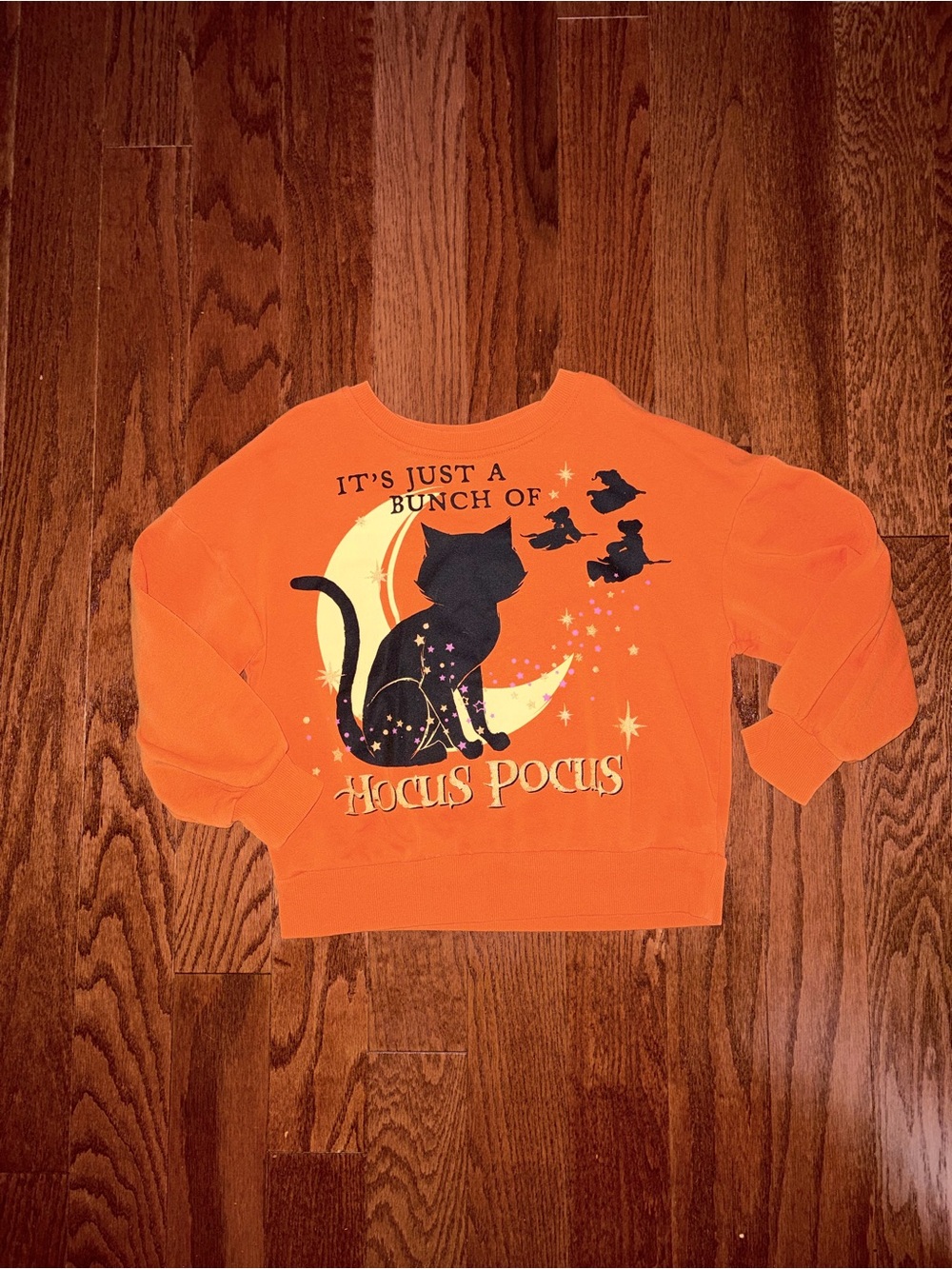 Disney Orange Hocus Pocus Cat Sweatshirt